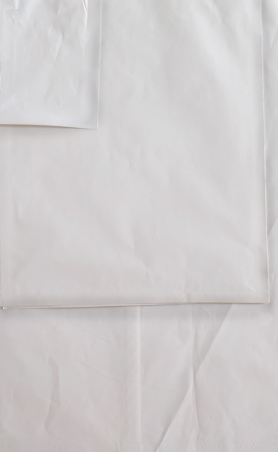 Matte White Paper Bag