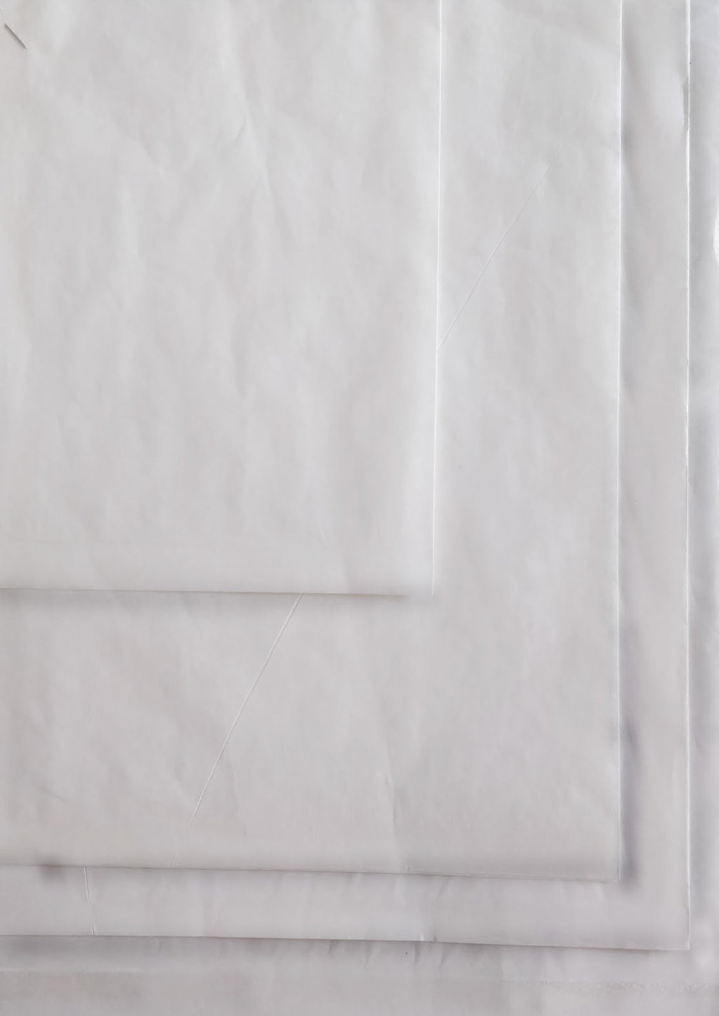 White Poster Paper Bag